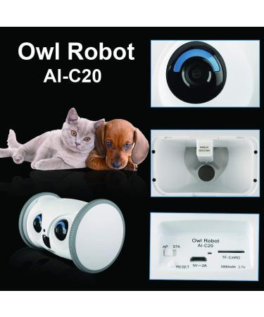 SKYMEE Owl Robot Pet Camera & Treat Dispenser for Dogs & Cats | Remote App Control | Interactive Toy | 2.4G WiFi | Ideal for Women - Buy Online on GoSupps.com