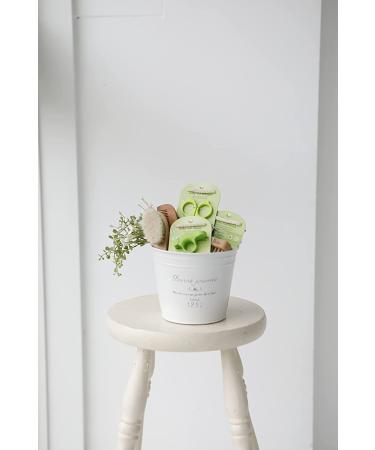 Green Sprouts Baby Brush & Comb Set | Natural Wood & Bristles | Gentle Hair Grooming - Buy Online on GoSupps.com