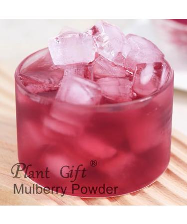 100% Natural Pure Mulberry Powder 100/3.52oz pour la cuisson jus de fruits smoothies yaourts et boissons th s | sans conservateur sans remplissage sans additifs - Buy Online on GoSupps.com