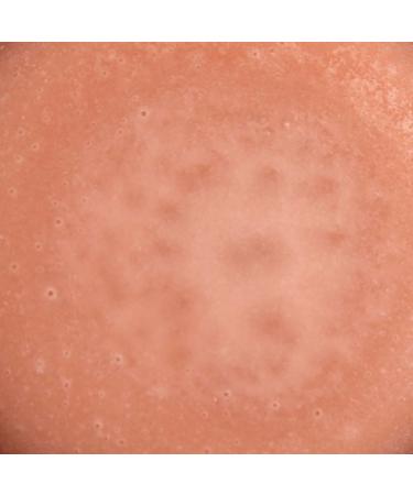  PUROPHI PUROPHI - ECOBIO QUASSOLID EXTRA NUTRITION SHAMPOOO - EXTRA NOURISH 80g - Buy Online on GoSupps.com