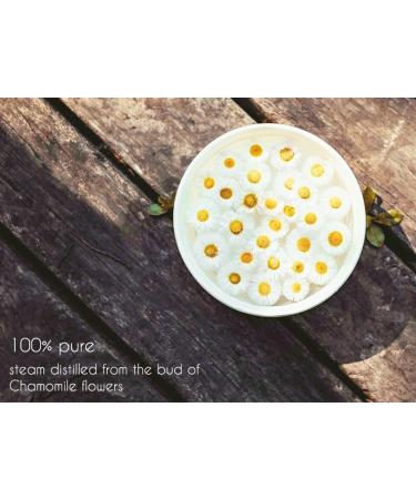 Chamomile (Roman) Essential Oil - 15 ml - 100% Pure & Natural - Amber Glass Bottle w/Euro Dropper - GreenHealth - Buy Online on GoSupps.com