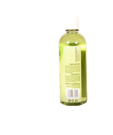 Bergamot Shampoo 500ml - Hair Regrowth Shampoo 16.91 Fl Oz - Pack of 1 - Buy Online on GoSupps.com