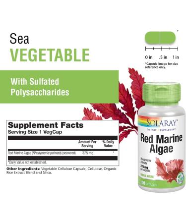 Buy Solaray Red Marine Algae 375 mg - 100 VegCaps | Boost Health Naturally - Buy Online on GoSupps.com
