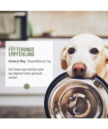 Reavet Ruheformel for Dogs - Natural Calming Supplement with Valerian Lemon & Organic Hemp Seed | 100g for Relaxed Balanced Dog Life | Help with Anxiety Excitation & Travel Stress - Buy Online on GoSupps.com