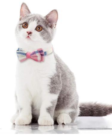 Tagme Pink Cat Collar with Name & Phone Number - Safety Closure & Bell - 1-Pack Kitten Accessory - Buy Online on GoSupps.com