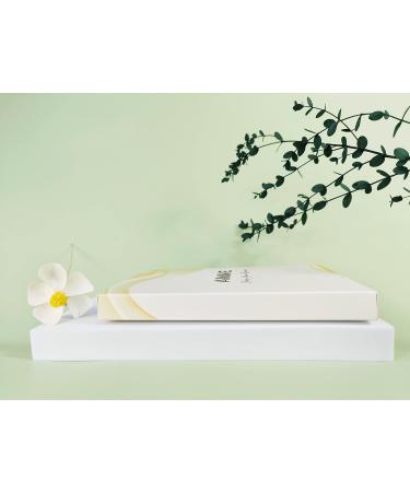 Buy Aimike 12-Piece Professional Hair Clips Set - Ideal for Styling & Cutting Slippery & Traceless Perfect for Thick & Thin Hair - 6 Black & 6 White - Buy Online on GoSupps.com