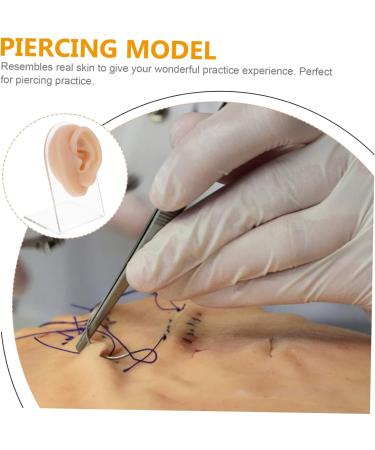 Piercing Tools Simulation Left Ear Model Display Prosthesis Mold Silica Gel Silicone Earring Mold for Body Art - Buy Online on GoSupps.com