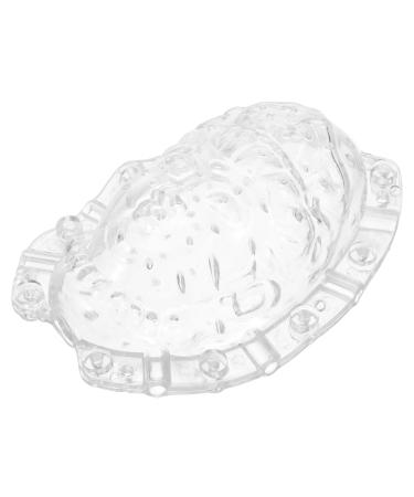 Parliky Fruits Forming Mould Vegetable Ginseng Buddha Shaped Fruit Multi-use Fruits to Play with Gourd