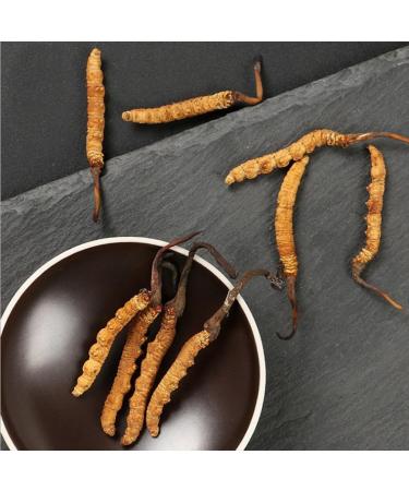 Cordyceps Sinensis Chongcao (3g)