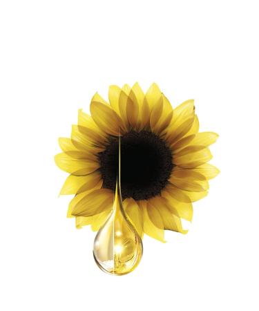 Garnier Olia Permanent Hair Color 5.5 Mahogany - Ammonia-Free Pleasant Aroma & Natural Floral Oils - 1 Pack - Buy Online on GoSupps.com