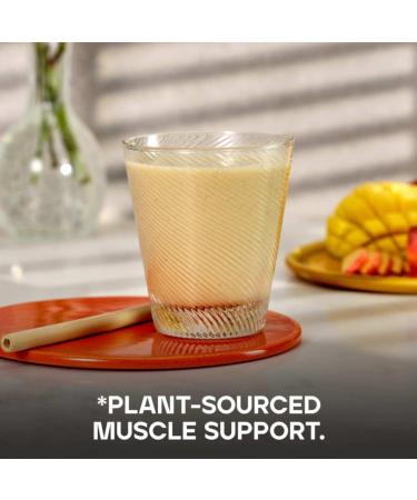 Vegan Protein Powder Peach & Mango 1kg - New Formula, 28 Servings - Buy Online on GoSupps.com