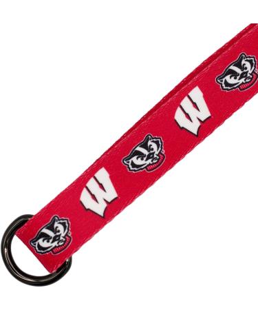 Officially Licensed Wisconsin Badgers Collars and Leashes | Fits All Pets! - 6 Foot Leash - Buy Online on GoSupps.com