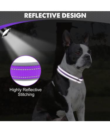 Shop Joytale Purple Neoprene Dog Collar - Softly Padded Reflective for Medium Dogs | Durable & Comfortable (1 Pack) - Buy Online on GoSupps.com