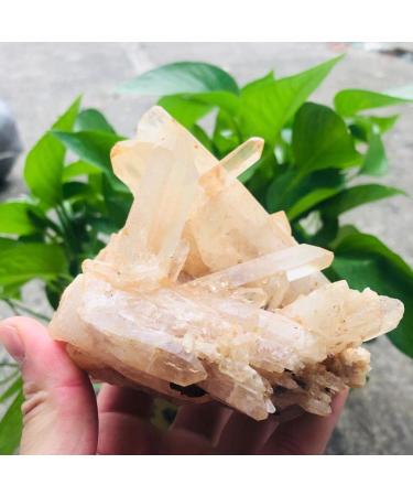 Crystal 200g-2000g Rough Natural Clear Geode Quartz Cluster Crystal Specimen Stone 1pc Suitable for Home Office Decoration ningxiao (Color : 1120g-1300g 1pc)
