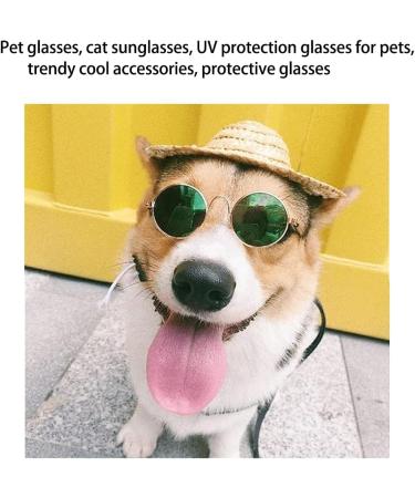 Kaimeilai 12pcs Pet Dog Cat Sunglasses Round Metal Pet Sunglasses Classic Retro Pet Sunglasses Dog Cat Cosplay Party Costume Photo Props Fashion Pet Goggles for Cats Dogs or Other Small animals - Buy Online on GoSupps.com