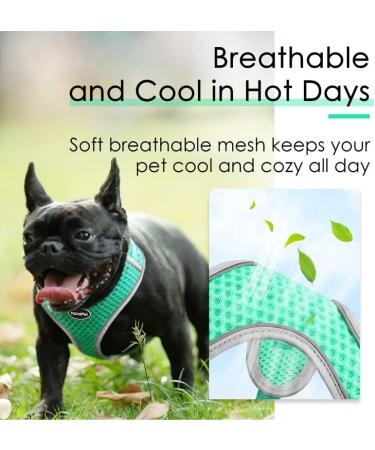 Thinkpet No-Pull Dog Harness Leash Set | Adjustable Breathable Safety Harness for Small Medium & Large Dogs - Green - Buy Online on GoSupps.com
