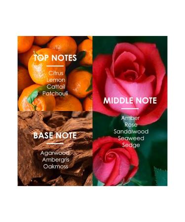 GLORY Emerald/Purple and Black Eau de Parfum 100ml Fresh Notes Long-lasting Fragrance for Men and Women (Citrus) - Buy Online on GoSupps.com