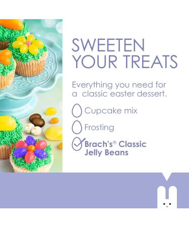 Brach's Classic Jelly Beans  Easter Candy Jelly Beans - 8 Assorted Candy Jelly Bean Fruit and Licorice-Flavored - Bulk Easter Egg Candy Pack (1 Pound) 1 Pound (Pack of 1) - Buy Online on GoSupps.com