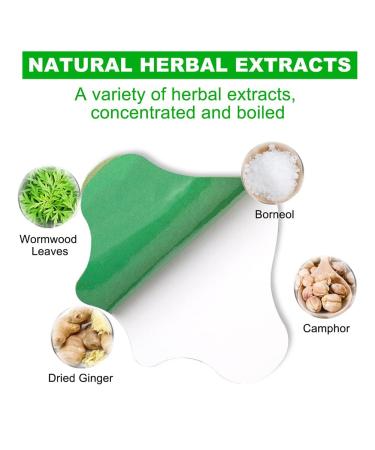 ANSTUGLE Flexiknee Natural Herbal Knee Patches (24PCS) - Support and Relief for Knee Pain - Buy Online on GoSupps.com