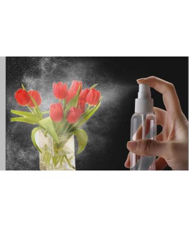 JamHooDirect 8Pcs 30ml Spray Bottle Empty Plastic Fine Mist Travel Atomiser Set with 2 Funnels - Clear Refillable & Reusable Mini Travel Bottles Toiletries Liquid Containers for Cosmetic (4 Colors) - Buy Online on GoSupps.com