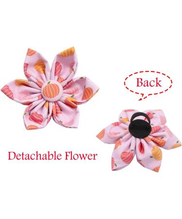 Adjustable Dog Collar with Removable Flower | Halloween Pink Pumpkin Hedgehog Design - XS Size - Buy Online on GoSupps.com