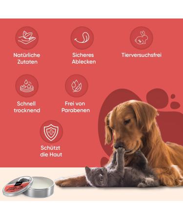 Animigo Noses & Paw Balm for Dogs & Cats | Moisturizing Lotion for Dry Cracked Noses & Paws | Summer Paw Care with Lavender Beeswax & Vitamin E | 60ml Ointment - Buy Online on GoSupps.com