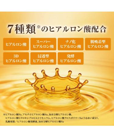 Hada Labo Gokujun Premium Hyaluronic Acid Refill 170mL - Hydrating Beauty Essence - Buy Online on GoSupps.com
