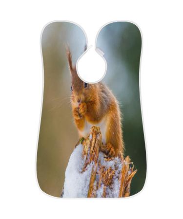 Winter Cute Squirrel Beard Bib Apron - Non-Stick Waterproof Grooming Cape for Men | Perfect Gift with Suction Cups - Buy Online on GoSupps.com