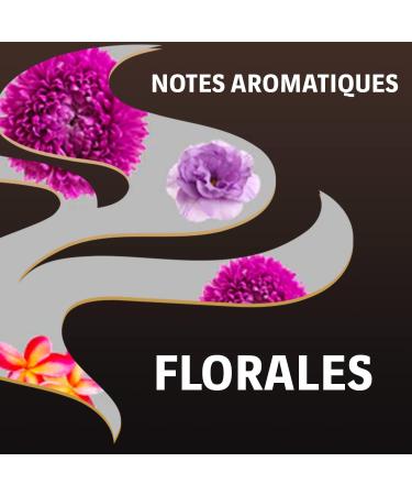 LAVAZZA - Barista Perfetto Espresso Coffee - Lavazza Grain Coffee - 100% Arabica - Italian Grain Coffee - Intensity 6 - 2 Pac - Buy Online on GoSupps.com