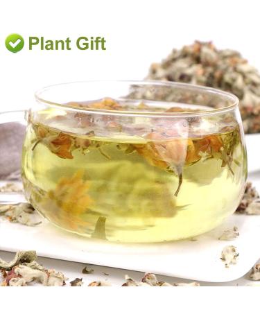 Buy Apple Blossom Flower Tea 50g - Dried Apple Flower Health Tea for Anti-Acne & Freckles - International Shipping Available - Buy Online on GoSupps.com