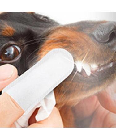 Gralara 100Pcs Pet Care Finger Disposable Plaque & Dogs and Cats Freshen Breath - Buy Online on GoSupps.com