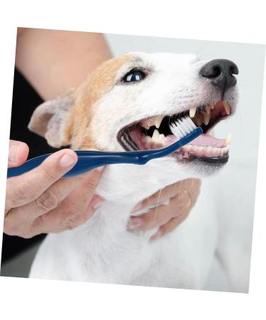 BESPORTBLE 3pcs Pet Double Toothbrush Puppy Teeth Brushes Cat Toothpaste Cat Toothbrushes Sharpened Nylon Blue 1 count (Pack of 1) - Buy Online on GoSupps.com