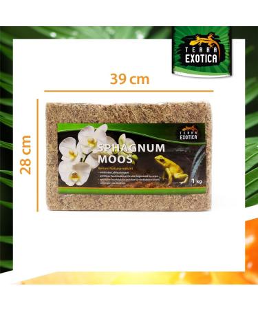 Buy Terra Exotica Sphagnum Moss (3x1 Kg) - Premium Peat Moss for Garden Houseplants & Terrariums - International Shipping Available - Buy Online on GoSupps.com