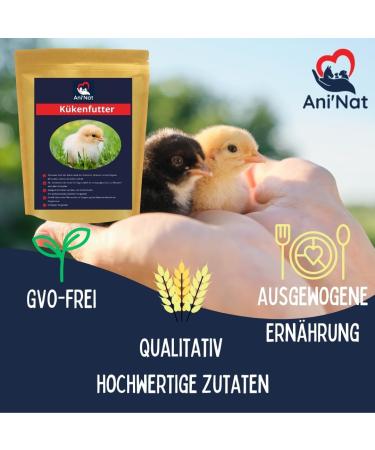 Aninat Chick Food - Premium Starter Feed with Vitamins Proteins & Minerals | Antibiotic-Free & Non-GMO (1.8 kg) - Buy Online on GoSupps.com