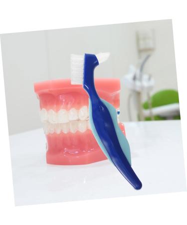 Collbath 4-Piece Prosthesis Toothbrush Set - Double-Sided Travel Brush for Dentures & Oral Care - Buy Online on GoSupps.com