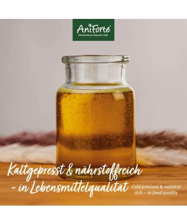 AniForte Linseed Oil for Horses & Dogs 5L - Cold-Pressed Omega 3 & 6 Supplement for BARF Diet - Buy Online on GoSupps.com