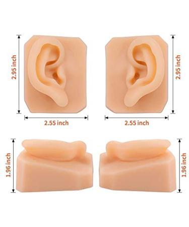 Life-Size Human Ear Silicone Model for Training and Education Display - Buy Online on GoSupps.com