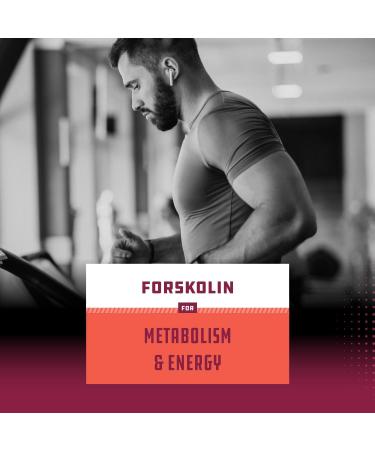 Natures Craft Forskolin Weight Loss Supplement - Pure Coleus Forskohlii Extract Diet Pills for Men & Women - Fat Burner Capsules with Appetite Suppressant and Metabolism Booster - Extra Strength Formula - Buy Online on GoSupps.com