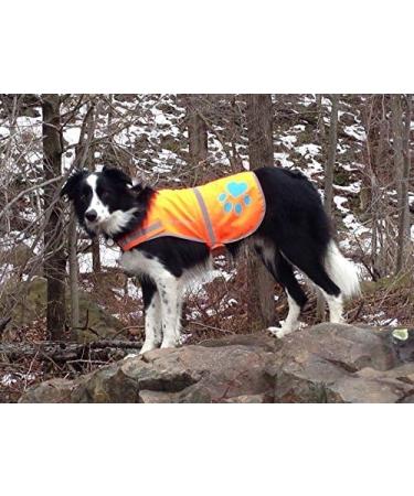 SafetyPUP XD - Reflective Dog Vest | Hi-Visibility Blaze Orange Vest for Medium Dogs | Protect Your Pup from Accidents - Buy Online on GoSupps.com
