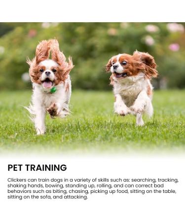 DSFSAEG 2 Pcs Dog Whistle Dog Training Clicker High Frequency Portable Training Clicker with Wrist Strap for Recall Cat Dog Horse Training Pet Training Aid Tools Black - Buy Online on GoSupps.com
