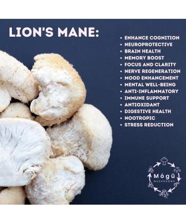 Body & Mind - Pure Organic Lion's Mane & Cordyceps Mushrooms 12:1 Dual Extract - Focus Cognition Energy Endurance - 100% Fruiting Bodies - Add to Water/Tea/Coffee/Smoothies - 125 Grams 4.41 Ounce (Pack of 1) - Buy Online on GoSupps.com