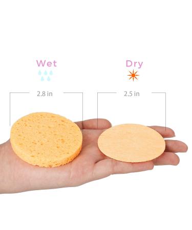 GAINWELL Compressed Facial Sponges - 100 Count for Personal Spa and Esthetician Use - Buy Online on GoSupps.com