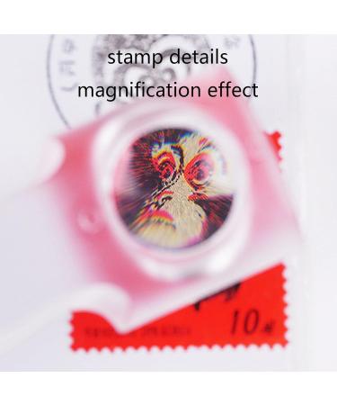 AJOIDR Portable 10x Magnifying Bar Magnifier Ruler Fitting for Reading Small Prints & Document Quality Acrylic Material Made - Buy Online on GoSupps.com