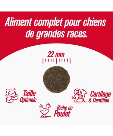 Iso dog - Premium Croquettes for Large Breed Dogs - Gluten-free - Optimal digestion - Rich in Chicken - 12kg - GMO-free - 100% Natural raw materials - Buy Online on GoSupps.com