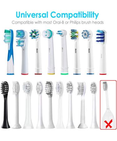 Enerfort Electric Toothbrush Heads Case - Clear, Compatible with Oral B and Philips Brushes - Buy Online on GoSupps.com