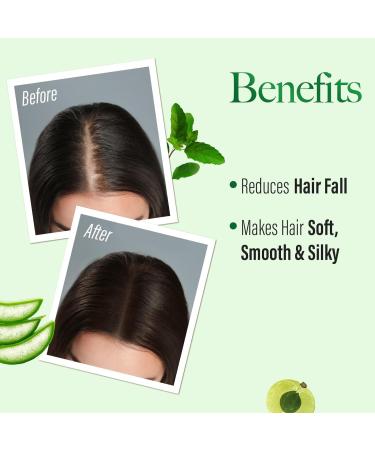 Kesh King Ayurvedic Shampooing anti-chute 300 ml Aloe & 21 herbes R duit la chute des cheveux sans paraben ayurv dique pour tous les types de cheveux pack familial avec Kajal 300 g (Lot de 1) - Buy Online on GoSupps.com