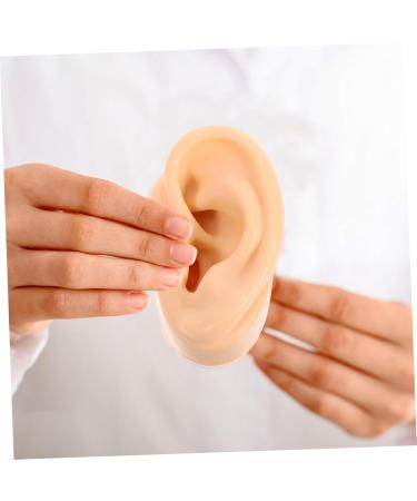 FRCOLOR Artificial Ear Model - Realistic Silicone Fake Ear Props for Pranks Jewelry & Acupuncture - International Shipping Available - Buy Online on GoSupps.com