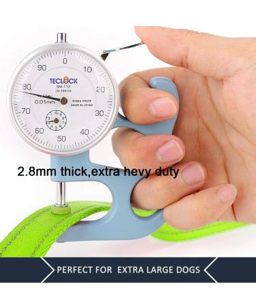 Pioneer Petcore 6ft Dog Lead - Heavy Duty Reflective Dual Handle Leash for Large and Medium Dogs - Green - Buy Online on GoSupps.com