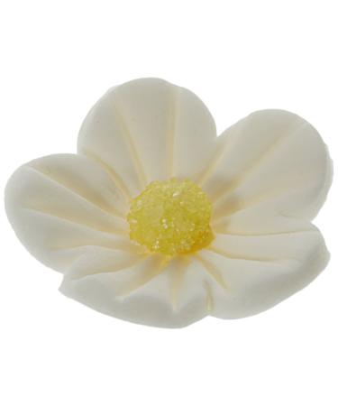 G nthart Edible small fine sugar flowers in white 1 pack (1 x 168 g)