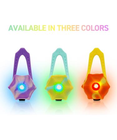 LaRoo Safety LED-Flashing Light for Dogs Cats LED-Light Pendant Keyring Clip on Dog Collar Charms Blinker Light Waterproof Safety Light for Walking the Dog and Outdoor Sports rechargable Purple-1 - Buy Online on GoSupps.com